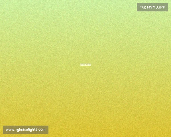 河南新华电竞班院